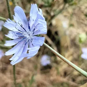  Hébergement de vacances Longere Bretagne